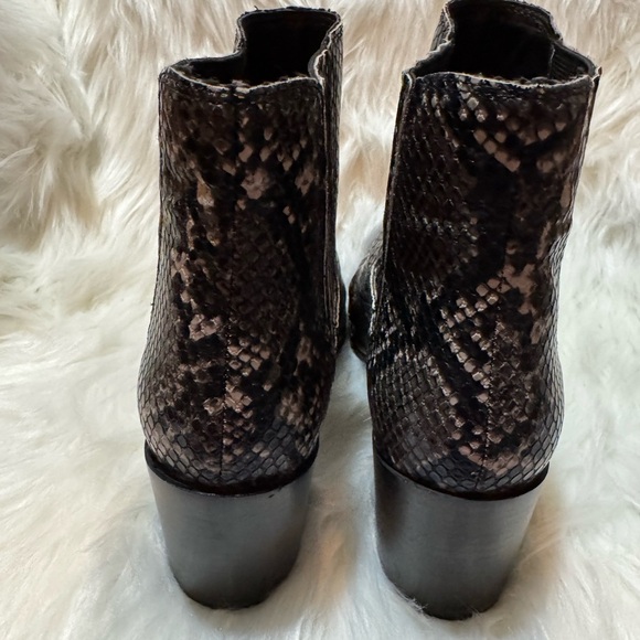 Steve Madden Black and Gray Ankle Booties Snakeskin Print - Picture 3 of 8